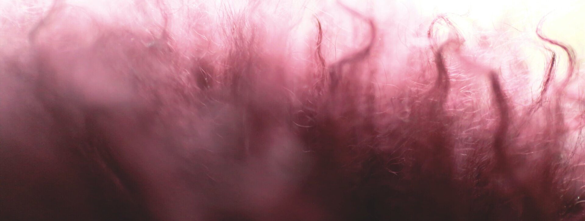 Tauranga Knitting Centre Tauranga Knitting Centre